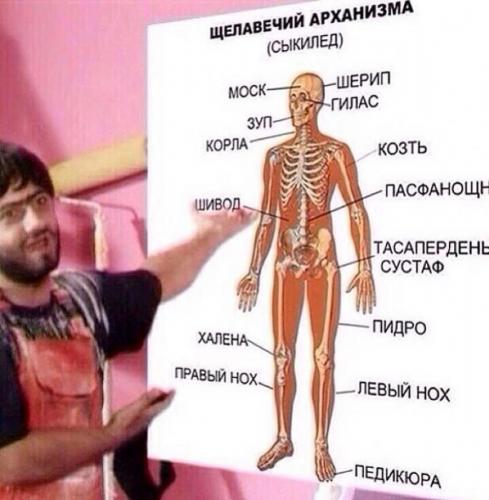 post-21-0-68762100-1507108629_thumb.jpg
