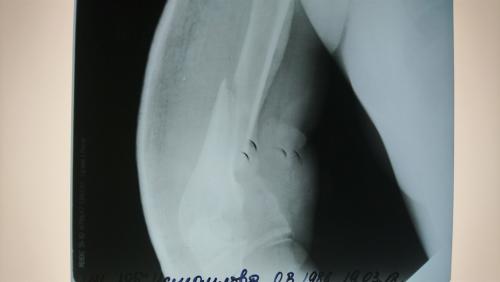 post-1575-0-96763900-1540575311_thumb.jpg