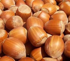Hazelnut.jpg