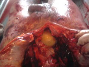 post-1002-1290367520_thumb.jpg