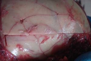post-413-1288718149_thumb.jpg