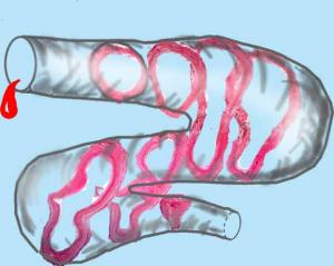 post-2-1196494690_thumb.jpg