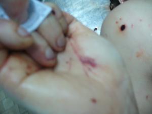 post-84-1198231146_thumb.jpg