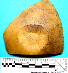 post-145-1260519594_thumb.png