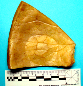 post-145-1260519609_thumb.png