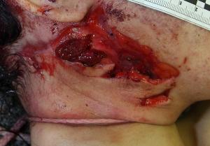 post-35-1259936404_thumb.jpg