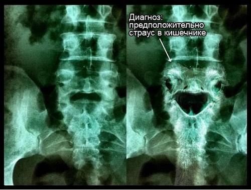 post-2348-0-47184000-1354613436_thumb.jpg