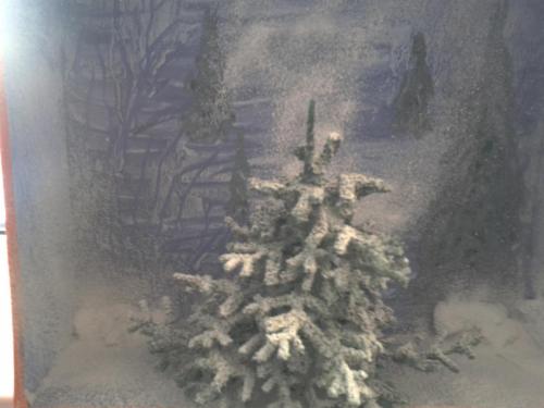 2012-12-17 15.08.17.jpg