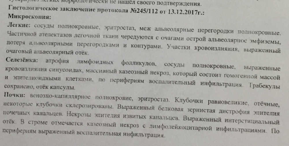 кен1.jpg