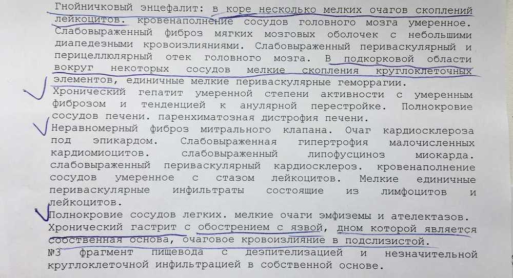 4E626F0D-5E5B-4667-88D8-6199EA6B25C1.thumb.jpeg.ac2b91a190a8965fb1f16aba859c6bd3.jpeg