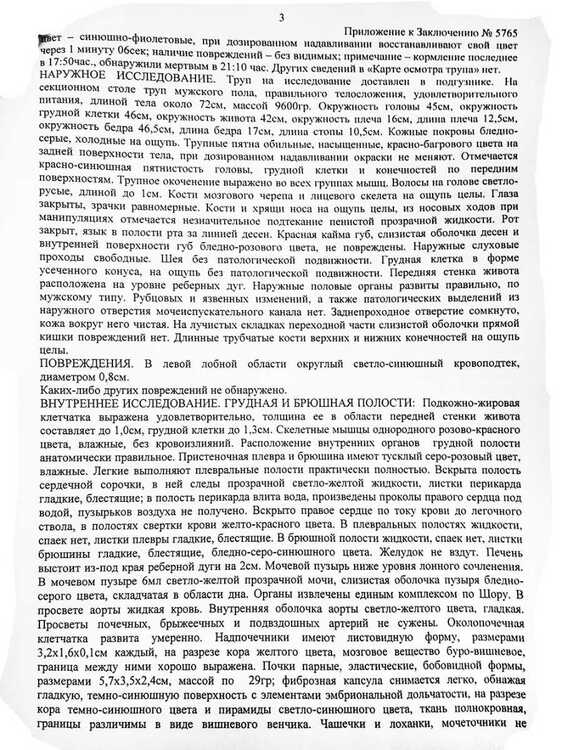 p3.jpg