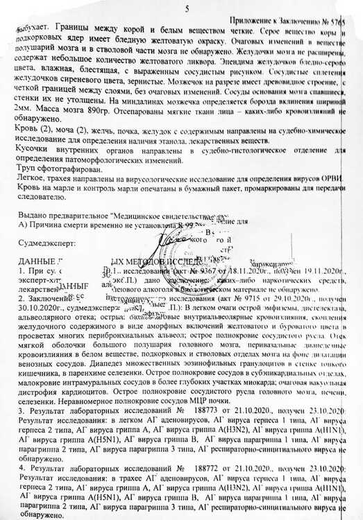 p4.jpg
