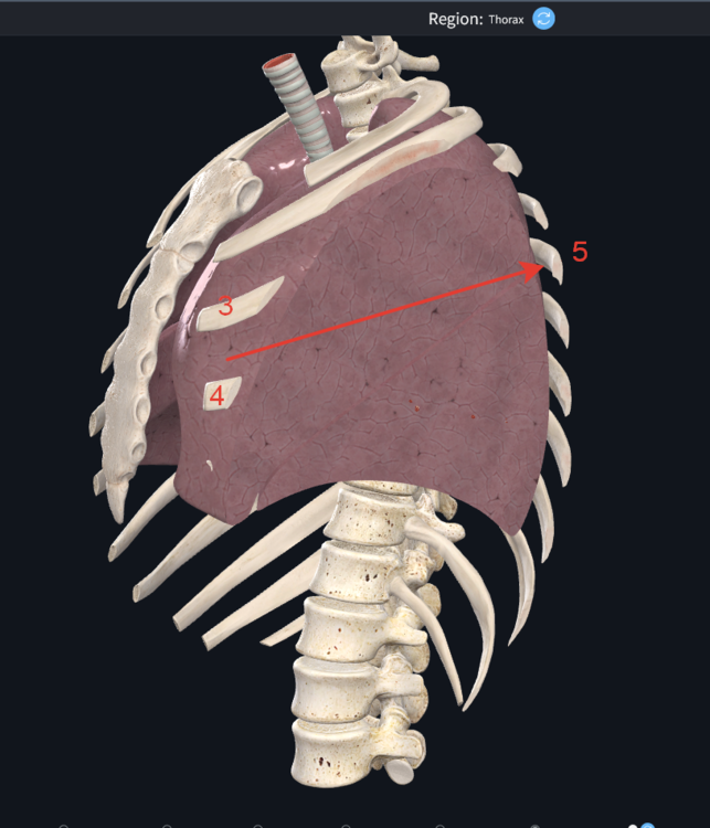 2021-01-26_19-06-56.png