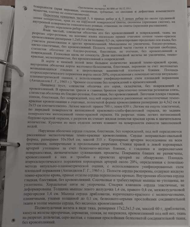 IMG_20201019_141508.jpg