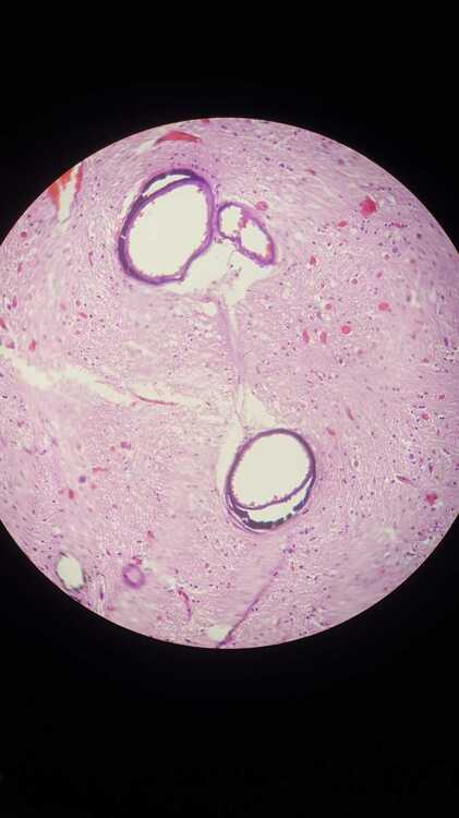 20210313_213243.jpg