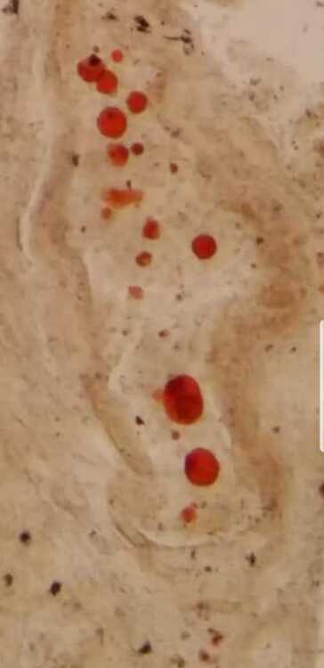 Screenshot_20210326-215105_Photos.jpg