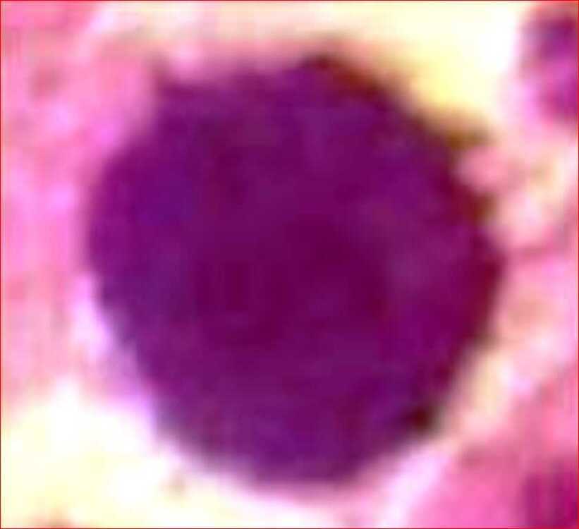 ео1.JPG