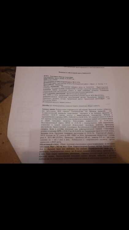 Screenshot_20211112-002220_Gallery.jpg
