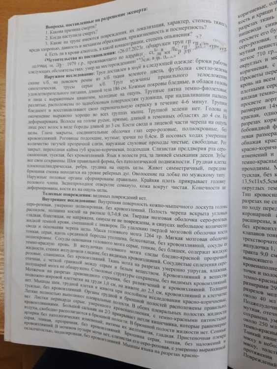 Polish_20240406_214105785.jpg