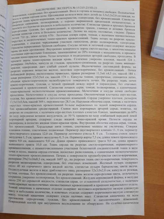 Polish_20240406_214249422.jpg