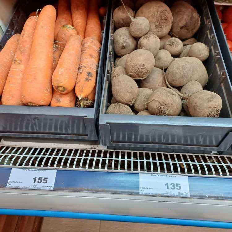 свекла морковь.jpg