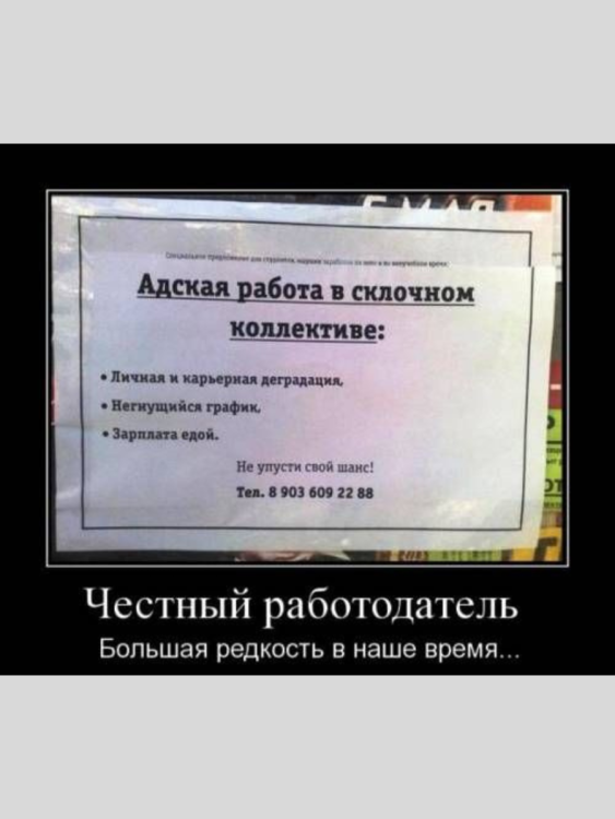 честный работодатель.png