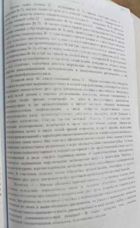 333.thumb.jpg.4dd6d77d7e9fa61ace1ac565471aba1e.jpg