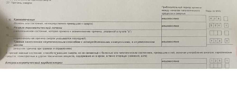 справка.jpg