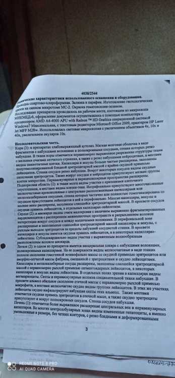 Заключение эксперта 2.jpg