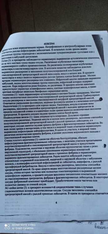 Заключение эксперта 3.jpg