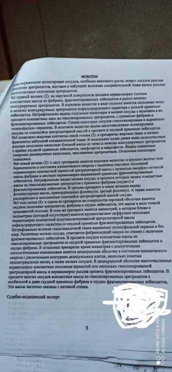 Заключение эксперта 4.jpg
