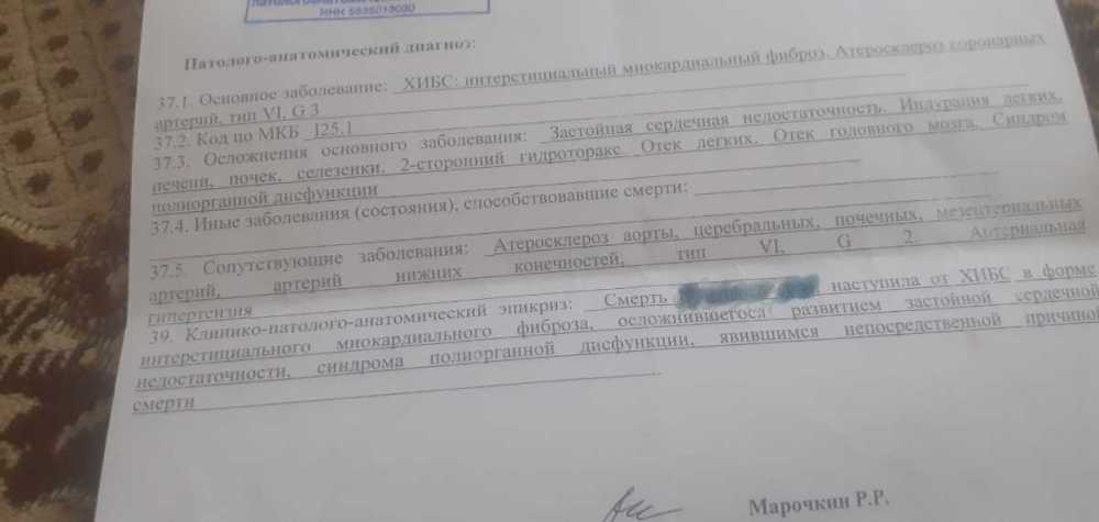 20260125_111504.jpg