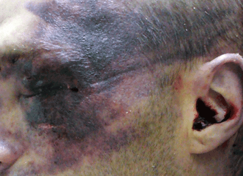post-145-0-29663300-1396847148_thumb.gif