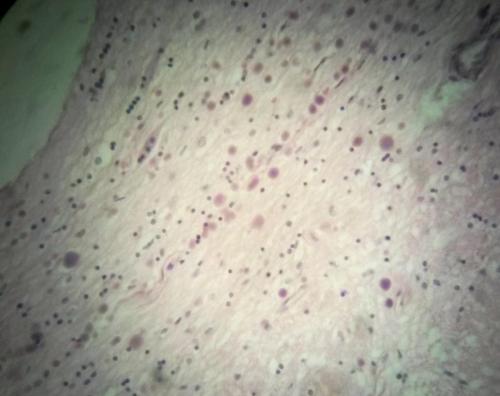 20150409_105017.jpg