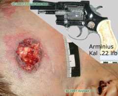 Самоубийство из револьвера Arminius